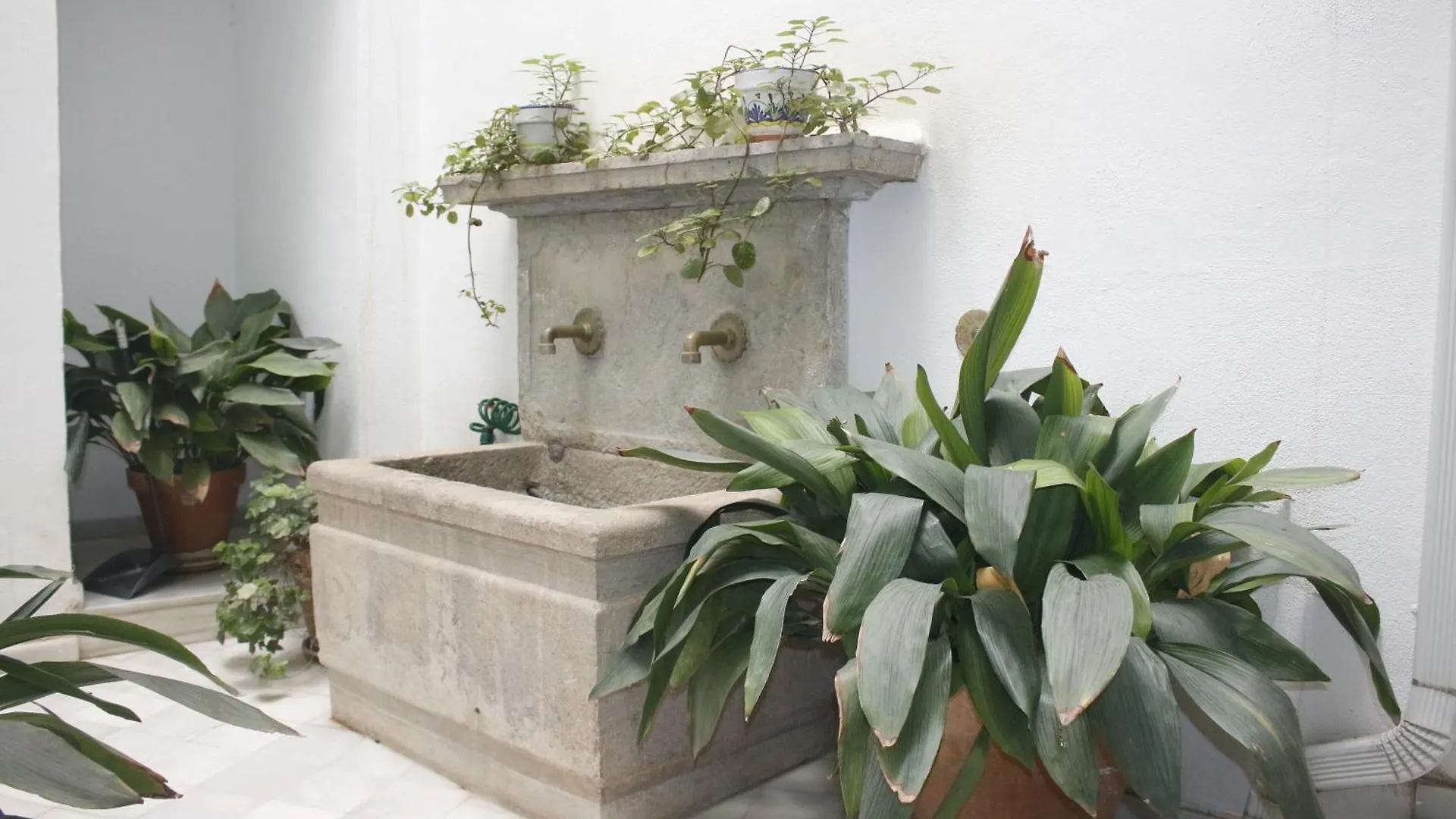 Taracea Suites Plaza Nueva Grenade Appartement